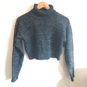 Zara Cropped Turtleneck Sweater